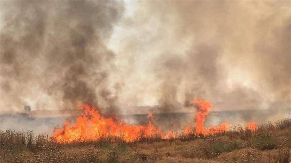 اندلاع حريق في محاصيل للحنطة شمال شرق الرطبة