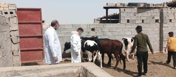 تصريح ’مقلق’ من الصحة العراقية بشأن الحمّى النزفية: تصاعد خطير بأعداد الإصابات