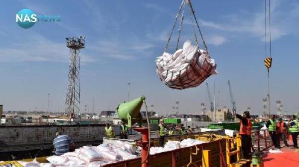 وصول 42 ألف طن من الرز التايلندي لحساب السلة الغذائية في العراق