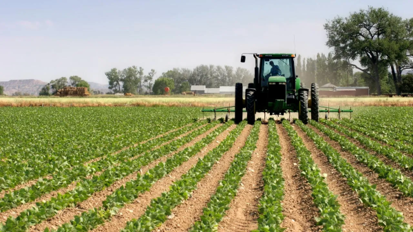 الزراعة تكشف عن خطة لزيادة الإنتاج المحلي وتصدير الفائض