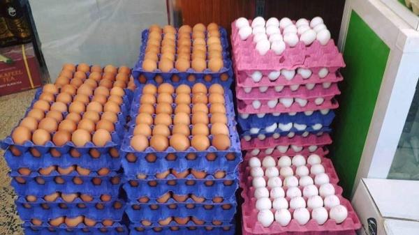 زراعة البصرة تحدد أسباب ارتفاع أسعار البيض في الأسواق المحلية