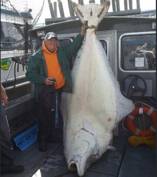 أمريكي يعود من رحلة صيد بسمكة تزن 230 كيلوغراما
