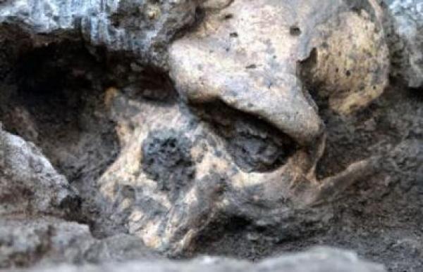 العثور على جمجمة يرجع تاريخها إلى 55 ألف سنة