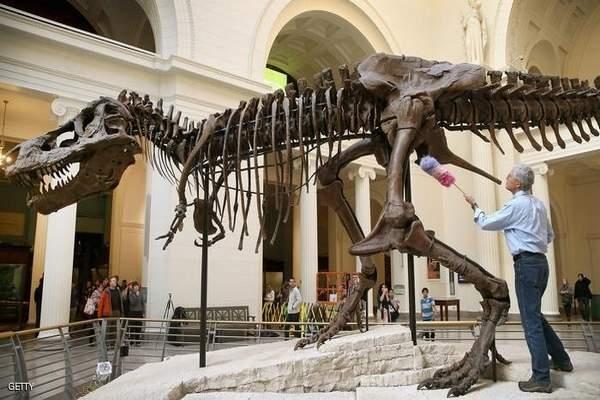 العثور على ديناصورات الأقدم على الإطلاق في دولة عربية