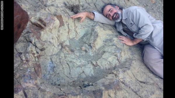 اكتشاف طبعة ديناصور عملاقة في أمريكا الجنوبية كسرت أرقاماً قياسية