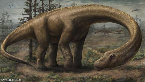 العثور على أثر لقدم ديناصور يزيد عرضها على متر في بوليفيا